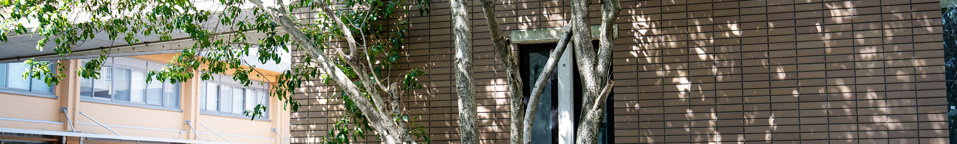 アクセスイメージ