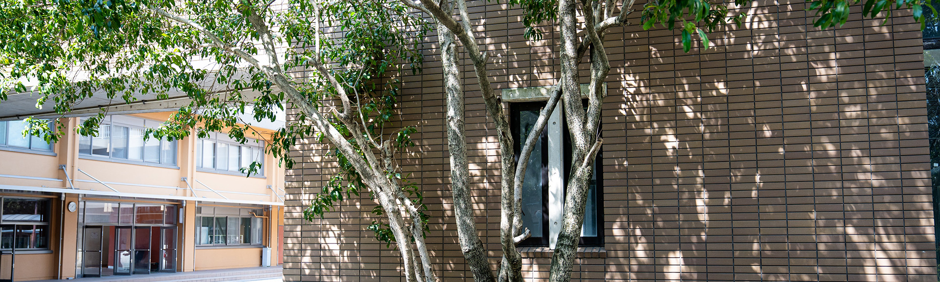 京都教育大学附属高等学校の校舎